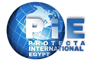 protecta-egypt.com